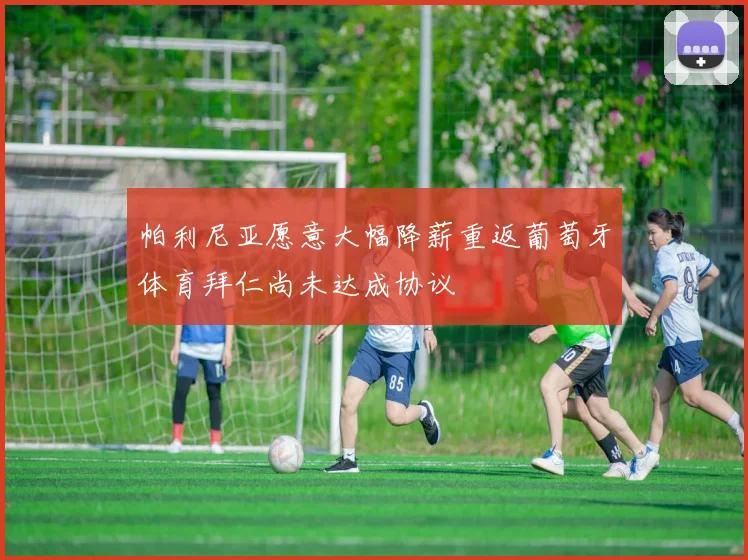 帕利尼亚愿意大幅降薪重返葡萄牙体育拜仁尚未达成协议